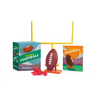 Desktop Football: Touchdown! - Paperback