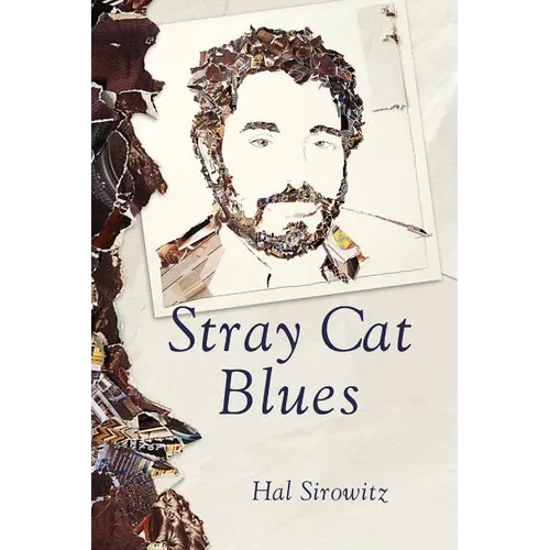 Stray Cat Blues - Paperback