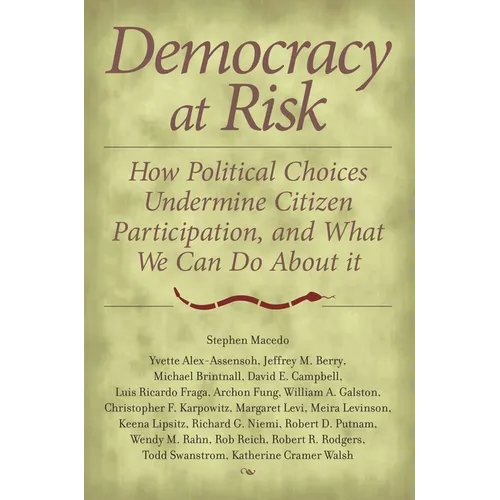 Democracy at Risk: How Political Choices Undermine Citizen Participation, and What We Can Do about It - Paperback