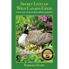 Secret Lives of Wild Canada Geese: A true love story in their hidden paradise - Paperback
