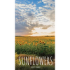 Sunflowers 2021 Diary: Slim Pocket Calendar, Week to View, Monthly Planner, Date Book Notepad with Holidays Contacts Passwords - Paperback