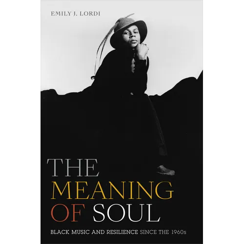 The Meaning of Soul: Black Music and Resilience Since the 1960s - Paperback