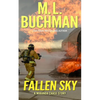 Fallen Sky: an action-adventure technothriller story - Paperback