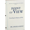 Point of View - Paperback