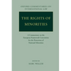 The Rights of Minorities in Europe: A Commentary on the European Framework Convention for the Protection of National Minorities - Paperback