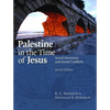 Palestine in the Time of Jesus: Social Structures and Social Conflicts - Paperback