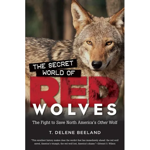 The Secret World of Red Wolves: The Fight to Save North America's Other Wolf - Paperback