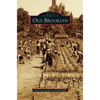 Old Brooklyn - Hardcover