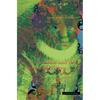 Wonders and the Order of Nature 1150-1750 - Paperback