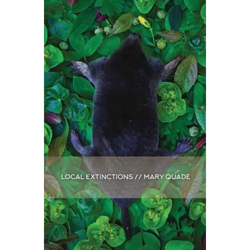 Local Extinctions - Paperback