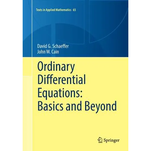 Ordinary Differential Equations: Basics and Beyond - Paperback