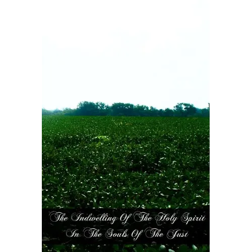 The Indwelling Of The Holy Spirit In The Souls Of The Just: According To The Teaching Of St. Thomas Aquinas - Paperback