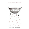 Prime Numbers: The Most Mysterious Figures in Math - Hardcover