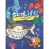Sea Life Coloring Book: A Coloring Book featuring Over 70 Diverse illustrations Ocean Animals to Color, Activity Book For Kids & Adults - Paperback