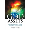 The God Assets: God's Investment in You and What to do With It - Paperback