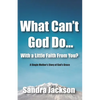 What Can't God Do Wiht a Little Faith From You: A Single Mother's Story of God's Grace - Paperback