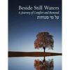 Beside Still Waters: A Journey of Comfort and Renewal - Large Print Edition - Paperback
