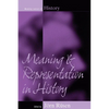 Meaning and Representation in History - Paperback