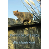 Painting the Cat's Vision - Paperback