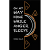 On My Way Home While Anger Sleeps - Paperback