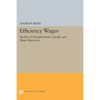 Efficiency Wages: Models of Unemployment, Layoffs, and Wage Dispersion - Paperback
