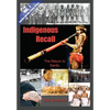 Indigenous Recall (Vol. 1, Lipstick and War Crimes Series): The Return to Sanity - Paperback