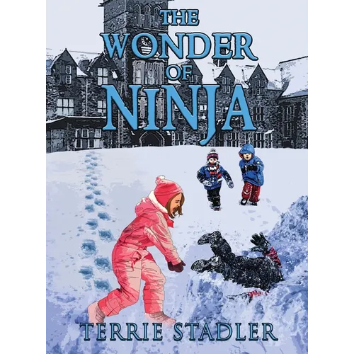 The Wonder of Ninja - Hardcover