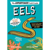 Eels - Hardcover