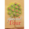 Special Tour - Paperback