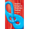 Intuitive Concepts in Elementary Topology - Paperback