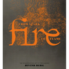 Fire: From Spark to Flame, the Scandinavian Art of Fire-Making - Hardcover