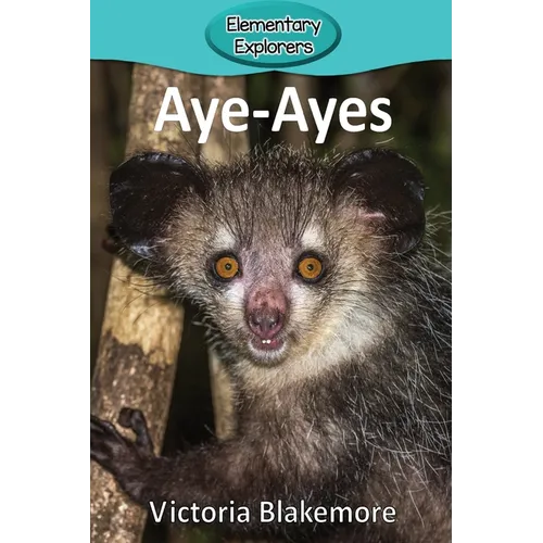 Aye-Ayes - Paperback