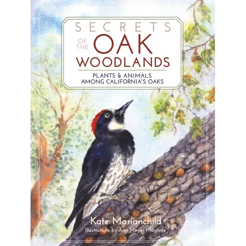 Secrets of the Oak Woodlands: Plants and Animals Among California's Oaks - Paperback