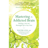 Mastering the Addicted Brain: Building a Sane and Meaningful Life to Stay Clean - Paperback