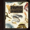 Dr. C. Lillefisk's Sirenology: A Guide to Mermaids and Other Under-The-Sea Phenonemon - Hardcover