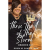 thru the I of the storm - Paperback