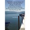 The Guide to Ignacio Springs and Guerrero Negro, Baja, Mexico (the Bus, the Rest Stop, the Military Checkpoint, the Orchard Hotel, the Kayak, the Yurt - Paperback