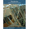 Precalculus: An Investigation of Functions - Paperback