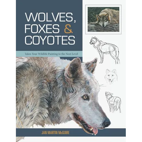 Wolves, Foxes & Coyotes (Wildlife Painting Basics) - Paperback