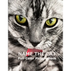 Name The Cat Full-Color Picture Book: Cute Adorable Cats Picture Book for Children, Seniors and every Cat lovers - Paperback
