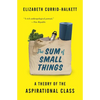 The Sum of Small Things: A Theory of the Aspirational Class - Paperback