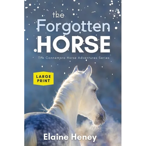 The Forgotten Horse - Book 1 in the Connemara Horse Adventure Series LARGE PRINT - Paperback