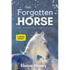 The Forgotten Horse - Book 1 in the Connemara Horse Adventure Series LARGE PRINT - Paperback