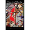 Water from Wellspring - Paperback