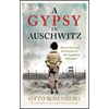 A Gypsy in Auschwitz: How I Survived the Horrors of the 'Forgotten Holocaust' - Paperback