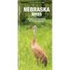 Nebraska Birds: An Introduction to Familiar Species - Paperback