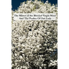 The Mirror of the Blessed Virgin Mary And The Psalter Of Our Lady - Paperback