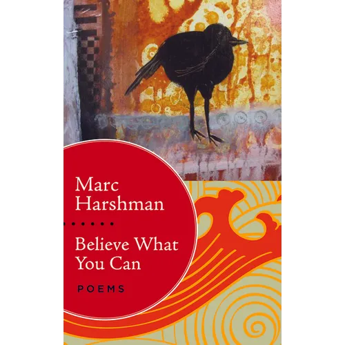Believe What You Can: Poems - Paperback