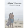 Perfect Encounter: a reintroduction into poetry - Paperback