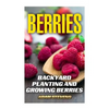 Berries: Backyard Planting and Growing Berries: (Berries Growing, Berries Gardening) - Paperback